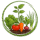 moncalendrierpotager