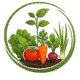 moncalendrierpotager